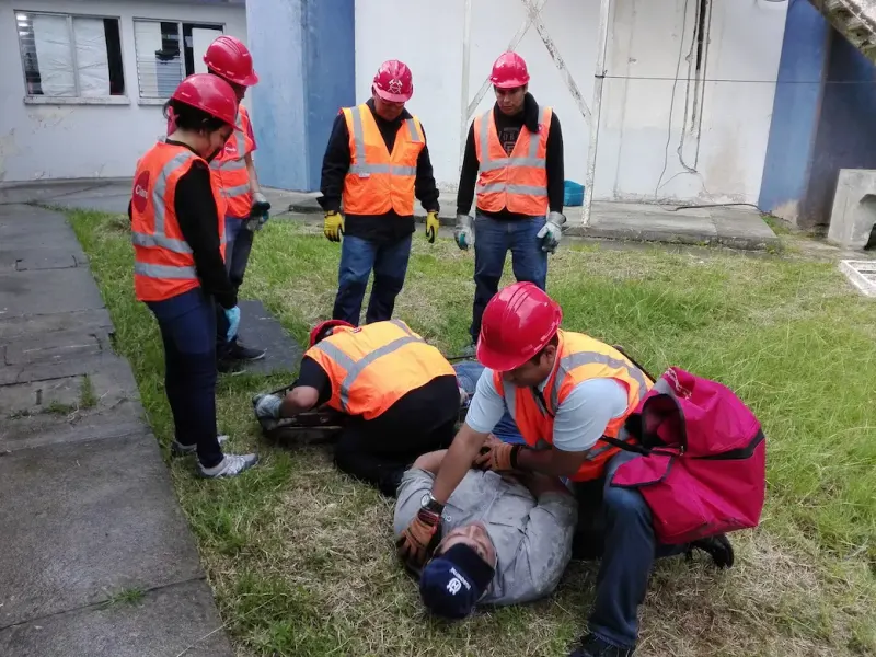 Brigadas de emergencia en acción